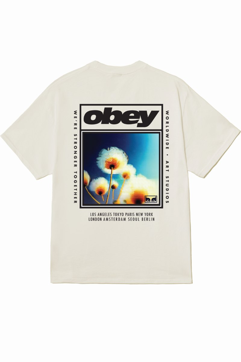 OBEY STRONGER TOGETHER T-SHIRT Vintage White