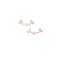 Tiffany Style Smile Cubic Zirconia Earrings